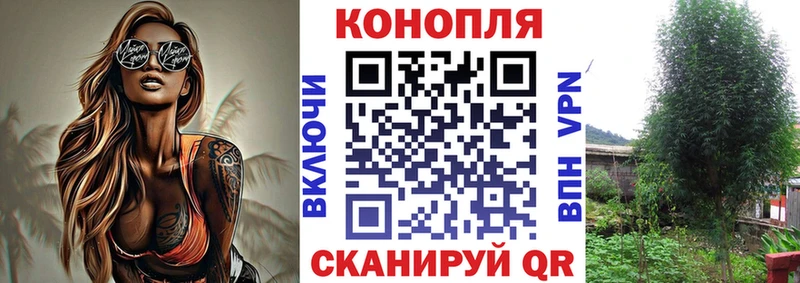 Наркотические вещества Кущёвская АМФ Героин Канабис COCAIN Гашиш