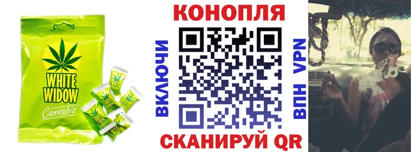 Canna-Cookies конопля Кущёвская