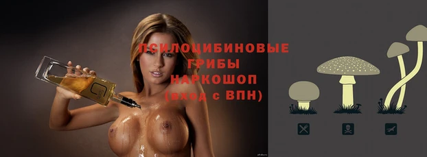 mdma Новозыбков