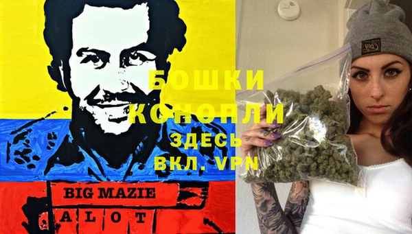 mdma Новозыбков